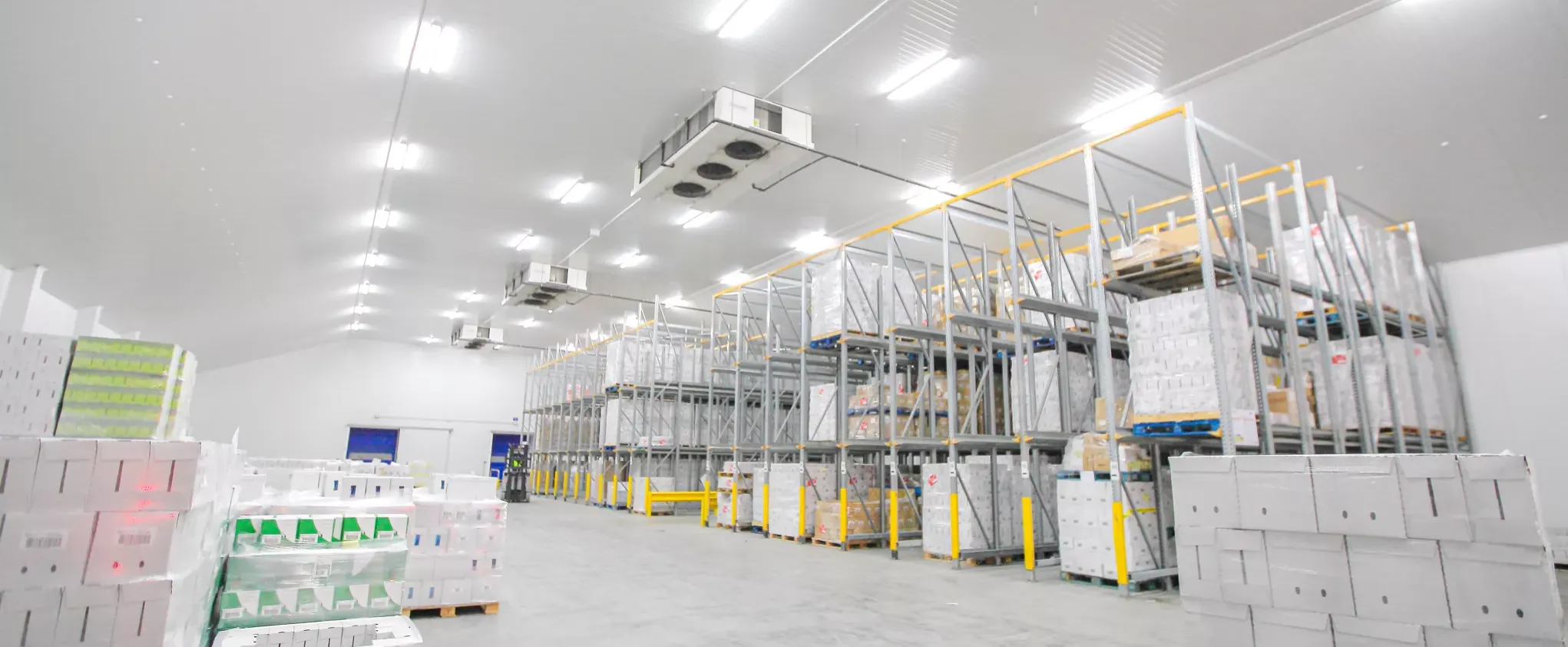 Interior de una cámara frigorífica de centro de distribución con evaporadores de techo y racks de pallets instalada por Río Sur